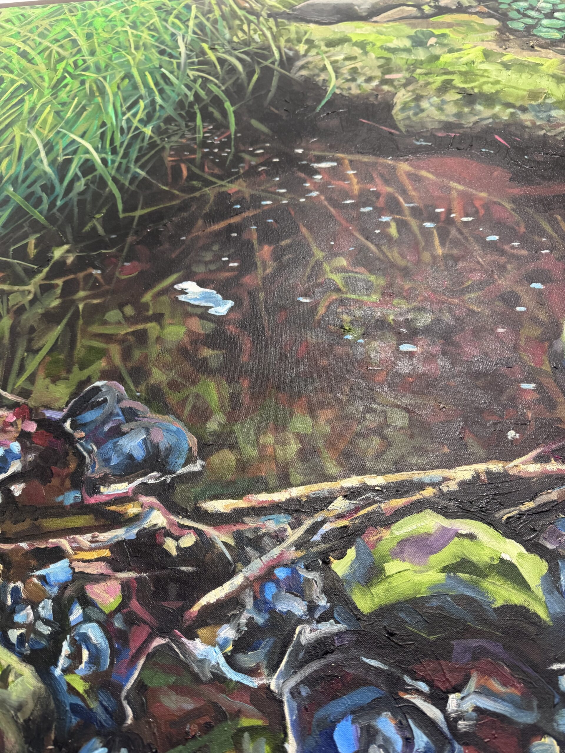 Beneath The Surface - Stream Bed - Image 2